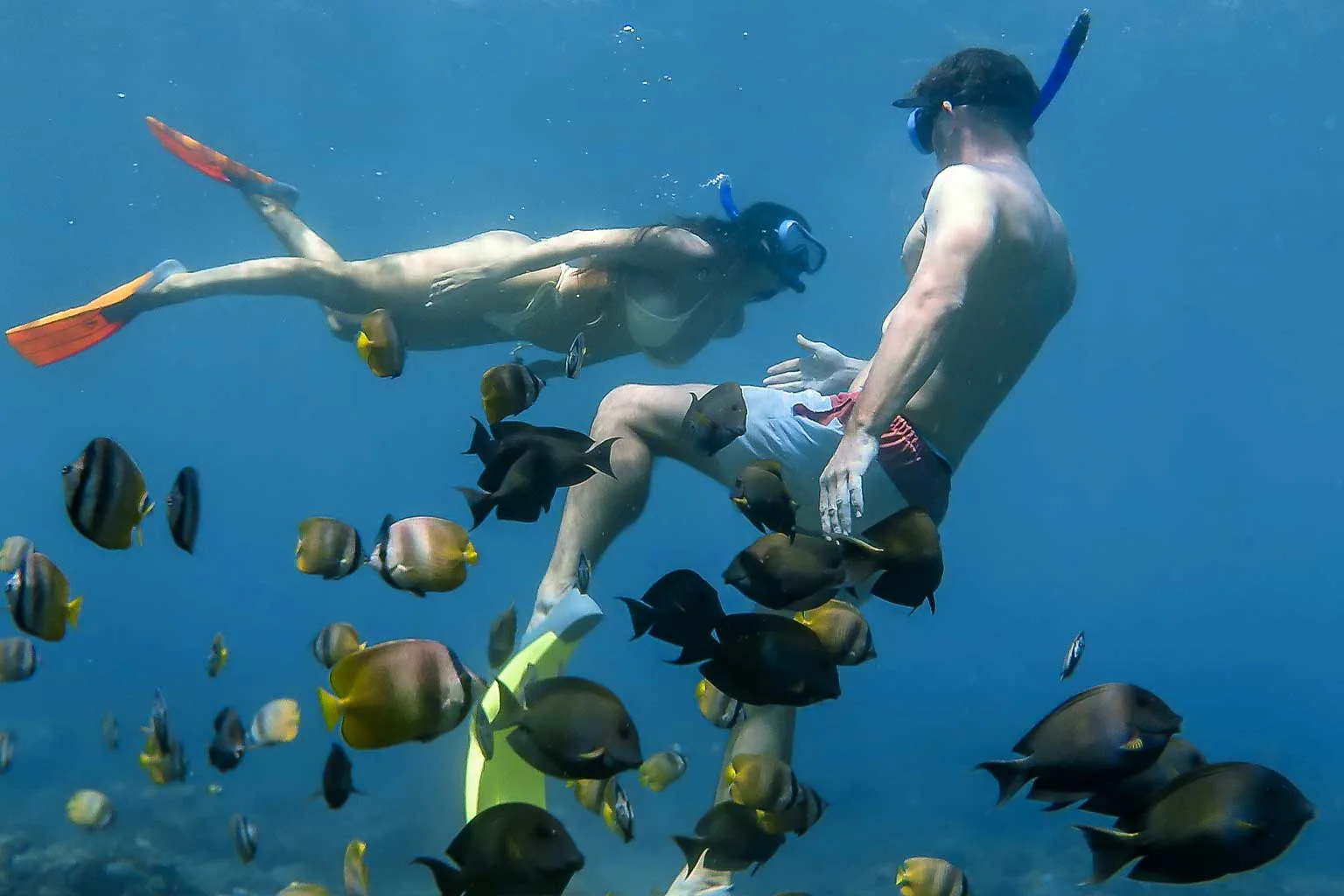 Stay & Explore Bali image 1